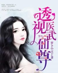 透視醫武仙尊